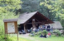 Zedern Hütte Zedern Hütte